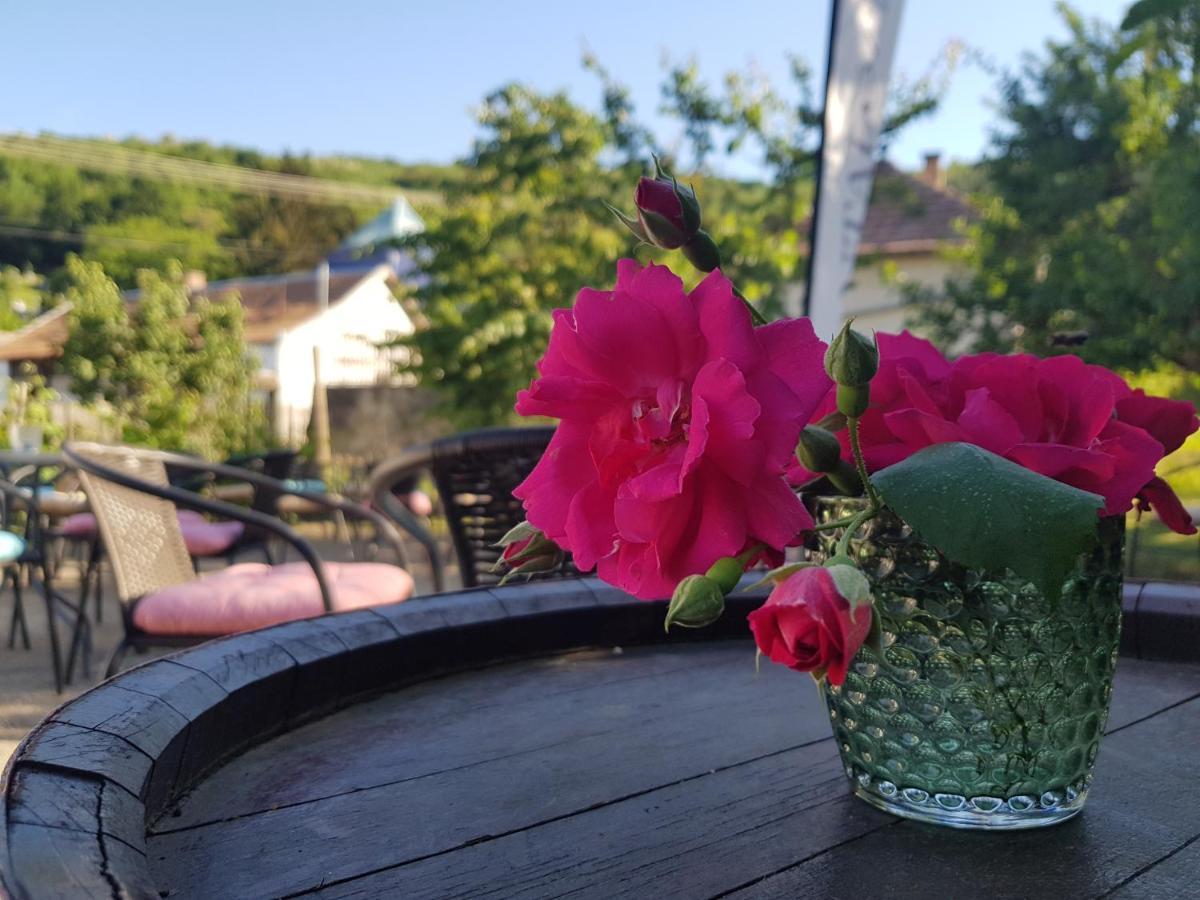 Antaloczy Cottage Токай Екстер'єр фото